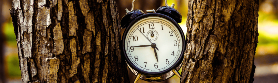 2025年にリアルタイムカスタマーサポートを提供する方法