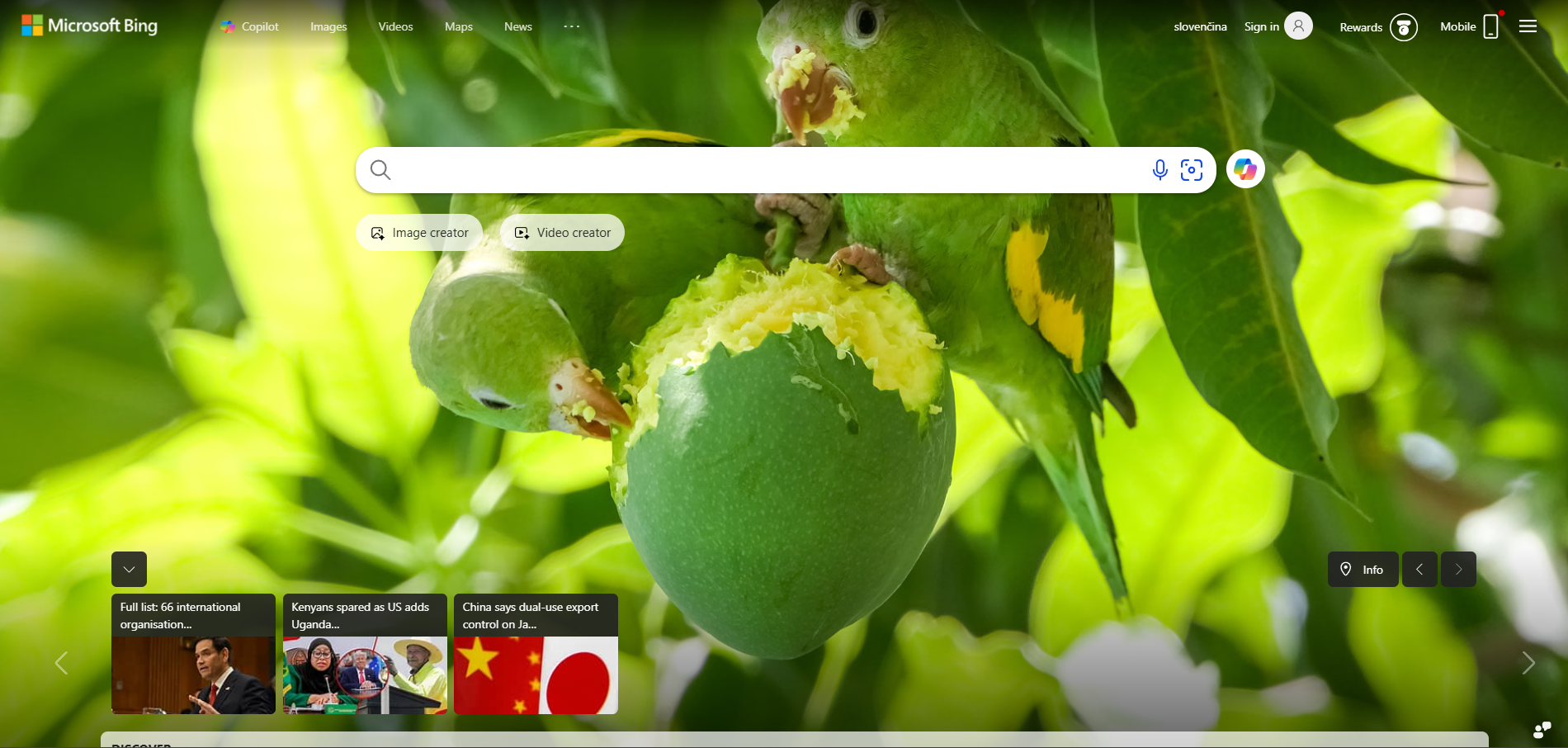 Bingヘルプデスク連絡先