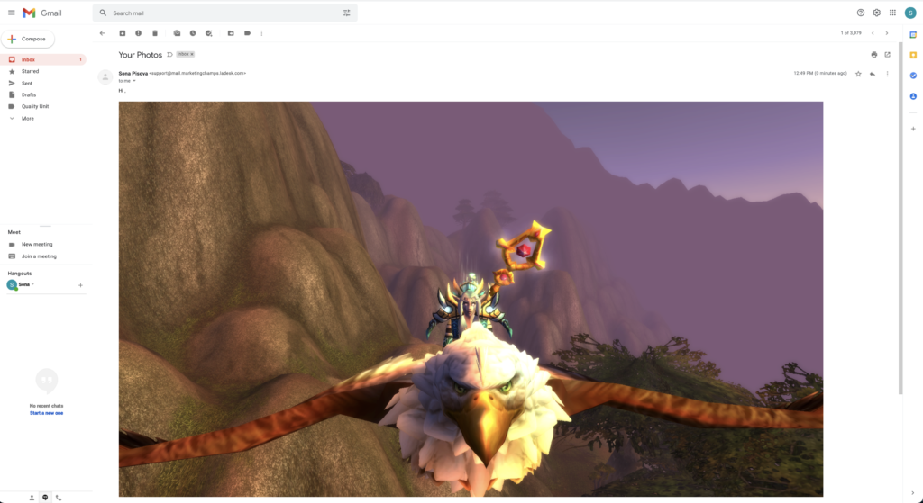 メール内のインライン貼り付け画像の例