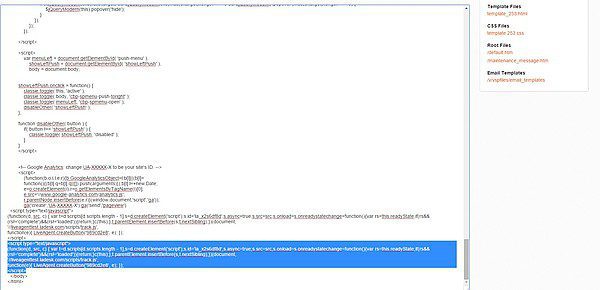 Volusion e ショップの本文に配置されたライブチャットボタン