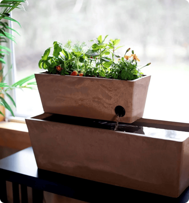 AquaSproutsがLiveAgentで96.5%の顧客満足度を達成する方法