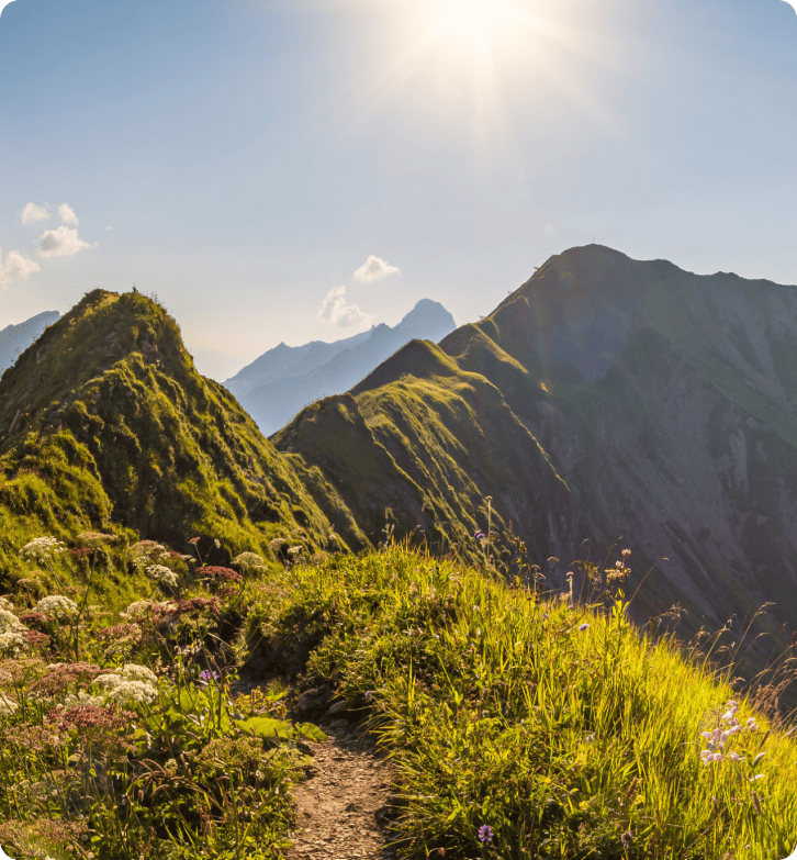 ZlavaDnaがLiveAgentでカスタマーサポートを改善した方法